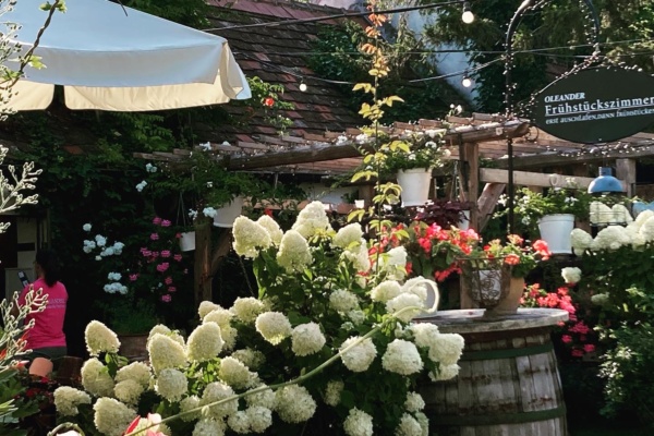 3F046B15-D6E8-4F72-9D40-3D895112487D 3F046B15-D6E8-4F72-9D40-3D895112487D